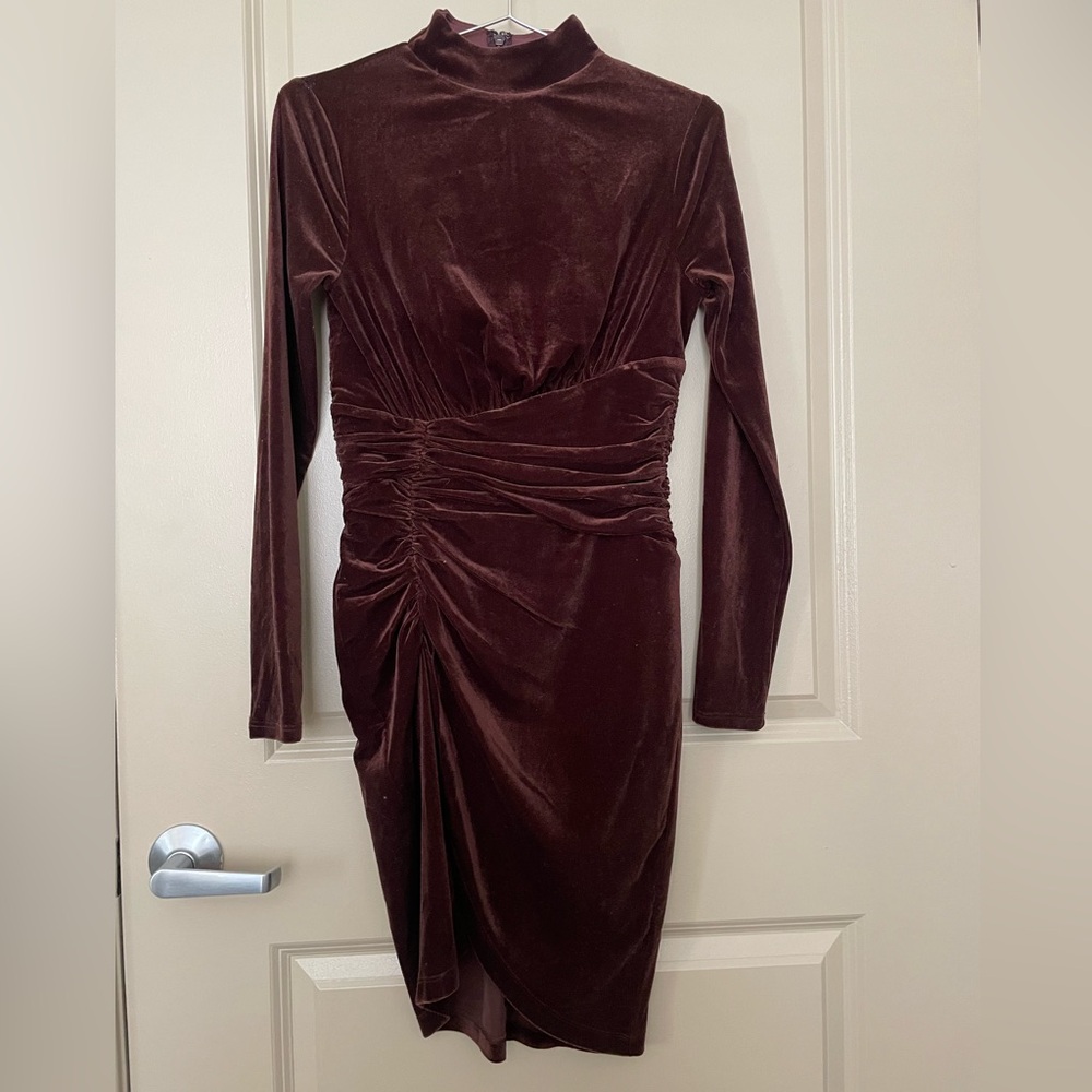 Express Velvet Mock Neck Ruched Mini Dress
